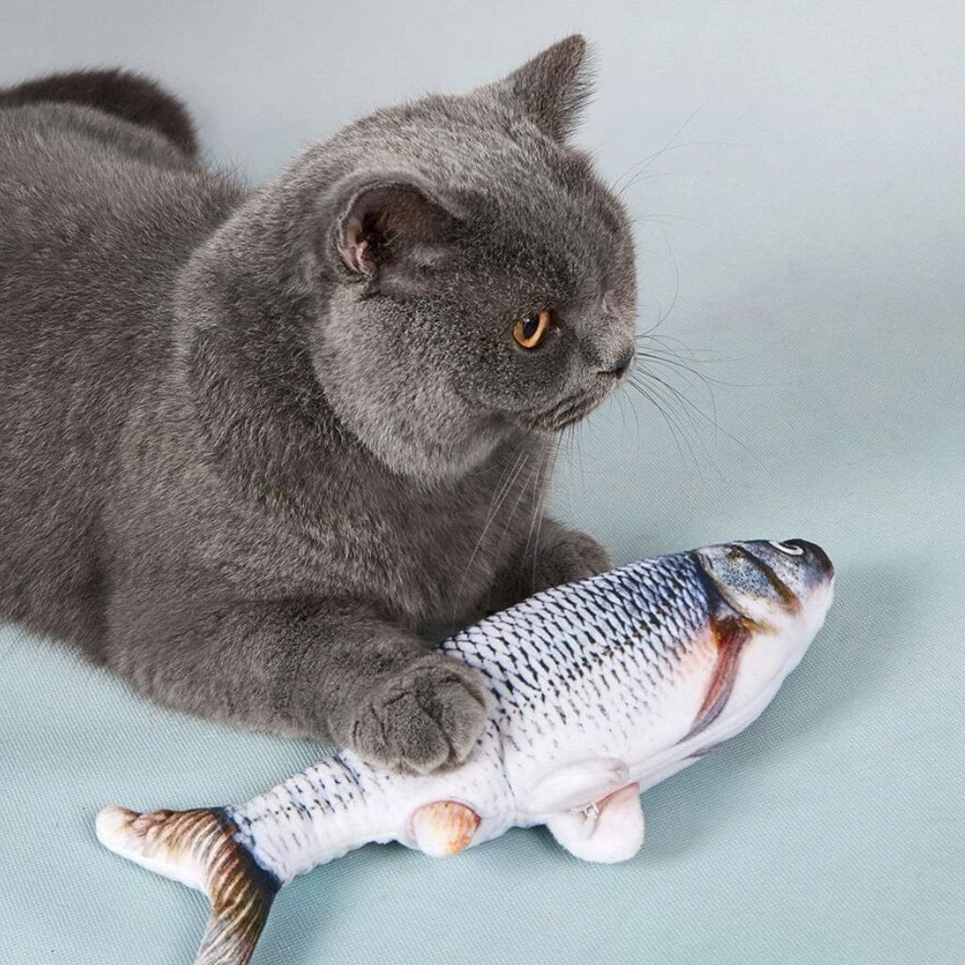 FishCat - Brinquedo para Gato